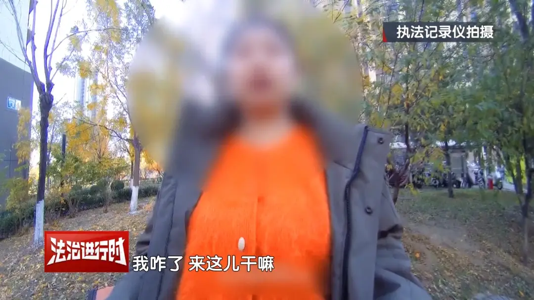 北京警方刑拘4人：父親帶著兒子和女兒“掃樓式盜竊快遞”