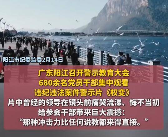 原創14名幹部排隊自首！陽江警示教育片，為何讓有問題的人坐立不安？