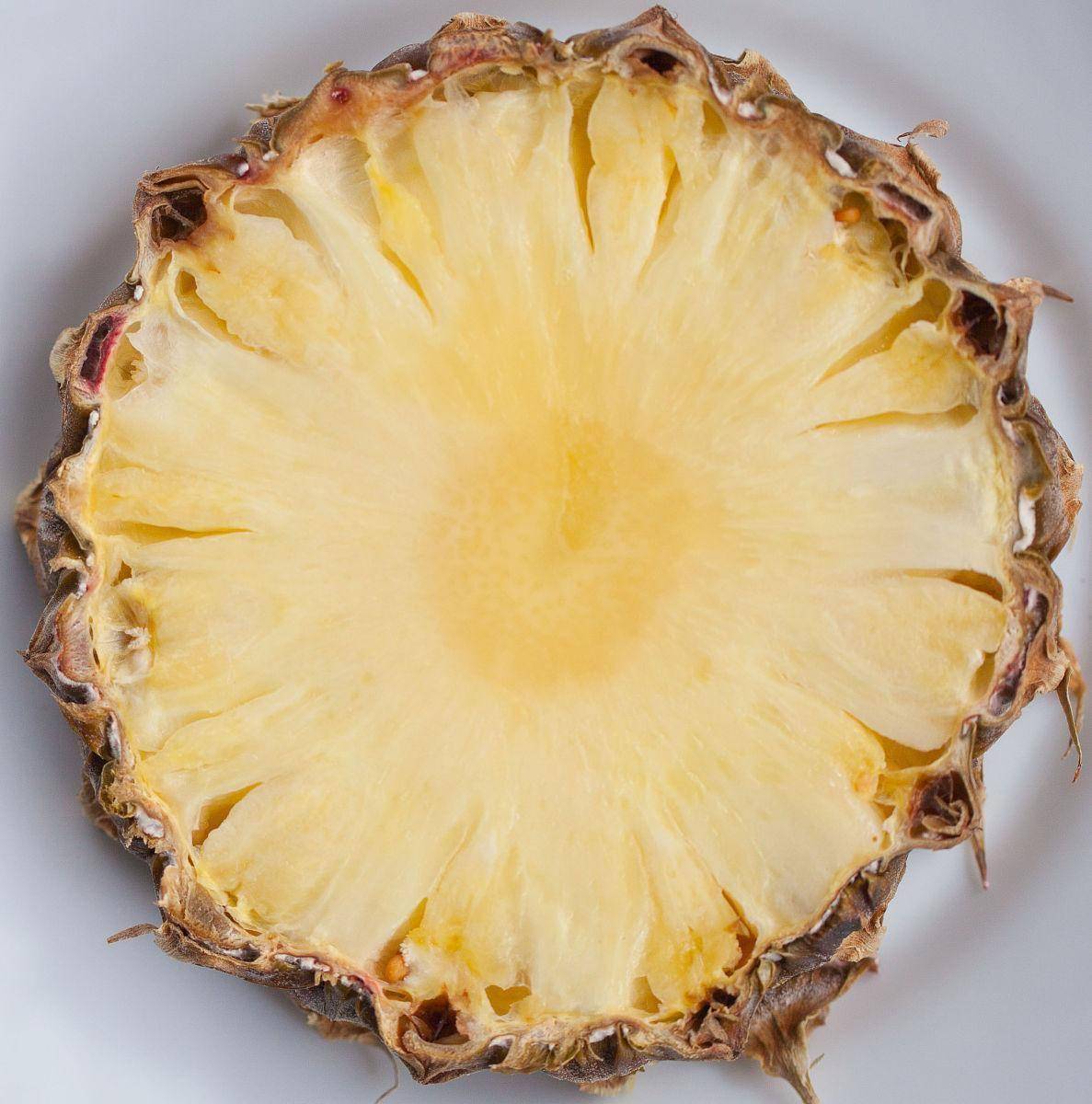 原創解鎖官方賽事濾鏡'順德煙花'，40分鐘做出美食博主熬夜6小時的3D賀卡