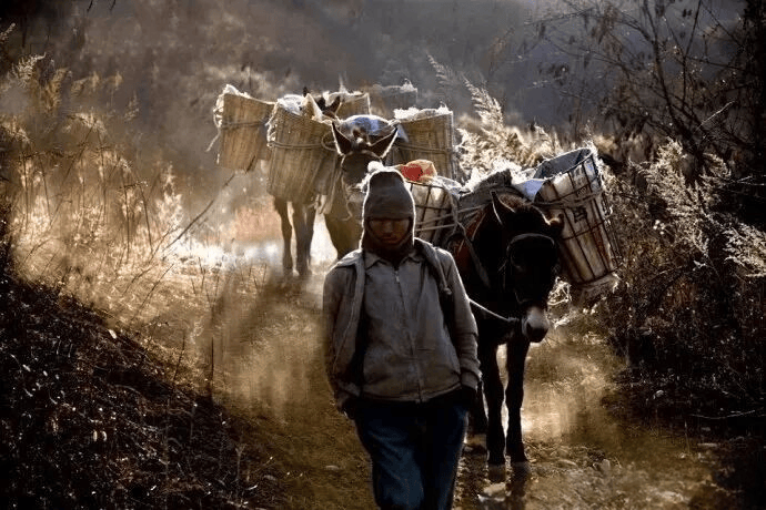 明朝如何用“快遞小哥”經略青藏？