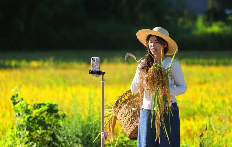 “三八”婦女節丨研究生畢業返鄉紮根基層 她用鏡頭講述鄉村故事