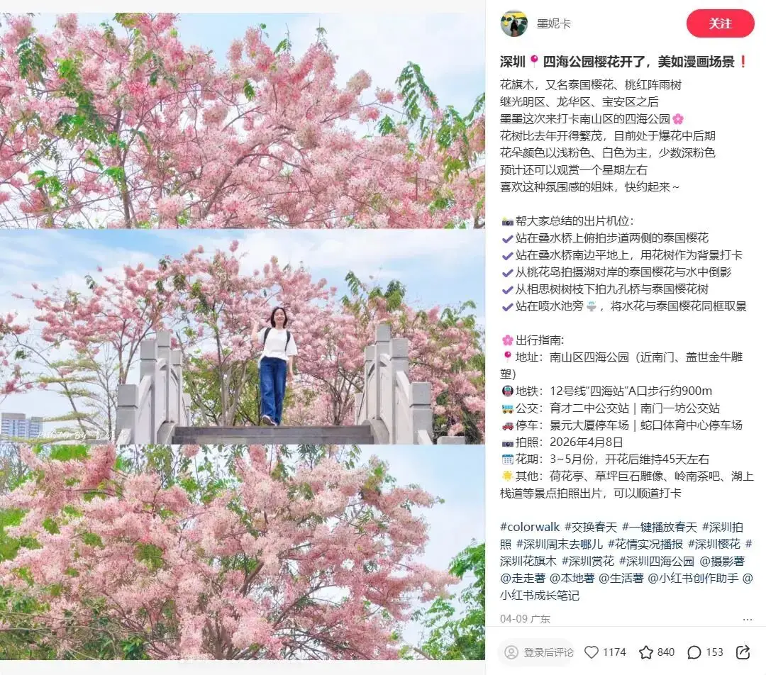 緊急收藏！五一深圳賞花寶地大揭秘，免費又好拍！