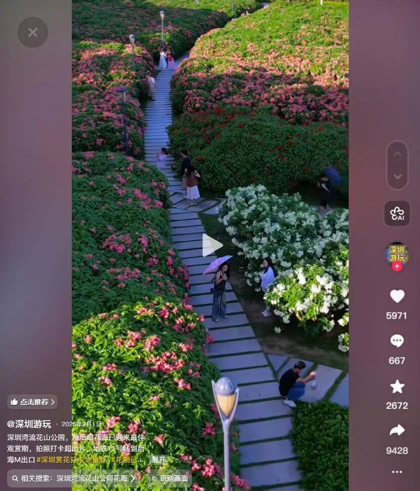 緊急收藏！五一深圳賞花寶地大揭秘，免費又好拍！