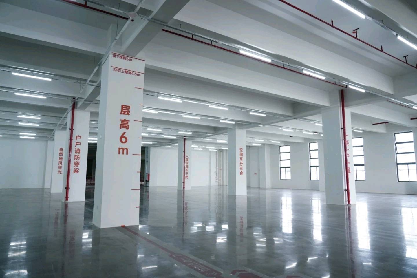 道滘“工改”新標杆首批廠房竣備，企業“零時差”進場裝修