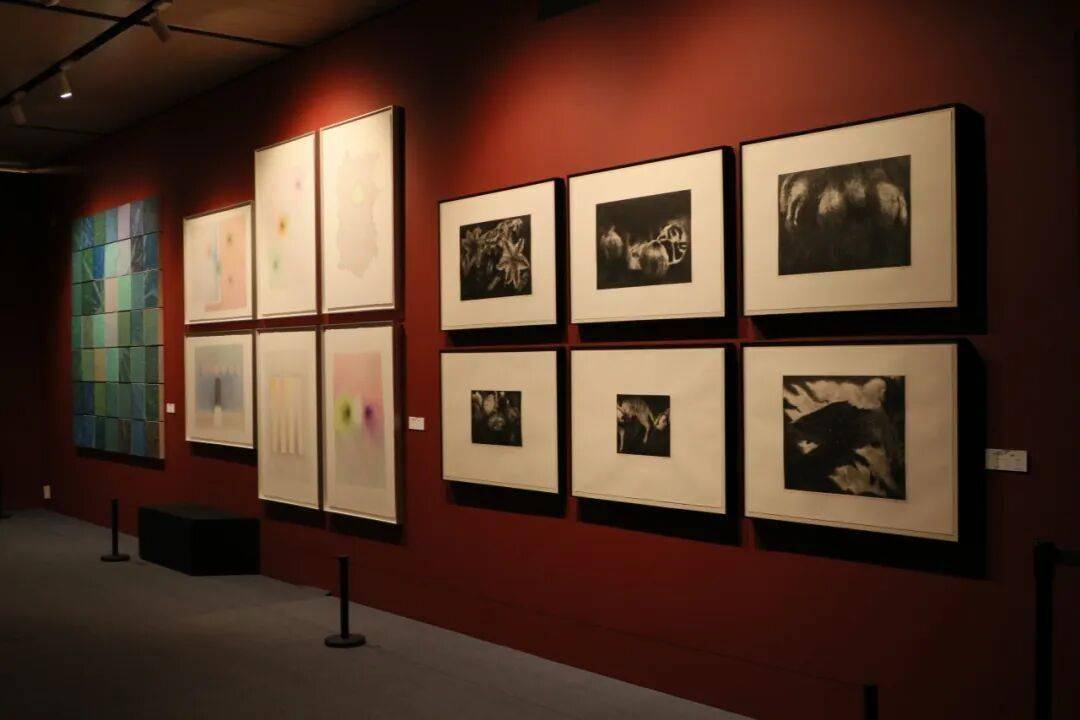 五一打卡必去！“中央美院研究生畢業展”千餘件作品見證“煥彩共生”