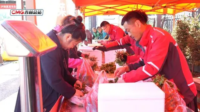 原創吉速報丨吉林通化：快遞“擺攤”早市 山珍鮮味“朝發夕至”