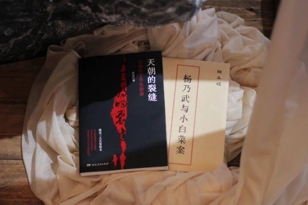 當真相遭遇權力傲慢，法律能否守住正義的防線？