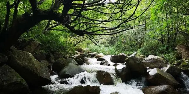 快收藏！河南母親節免費福利來啦