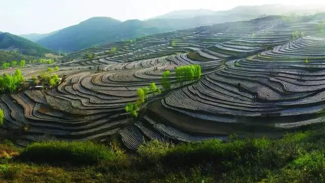 夏日避暑旅遊推薦• 來宜君縣赴一場山水與人文的清涼約會