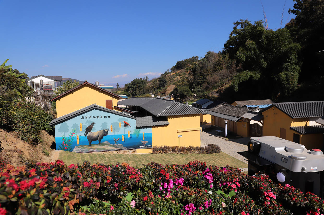 雲南唯一！保山百花嶺村入選全國首批“特色生態旅遊地”典型案例