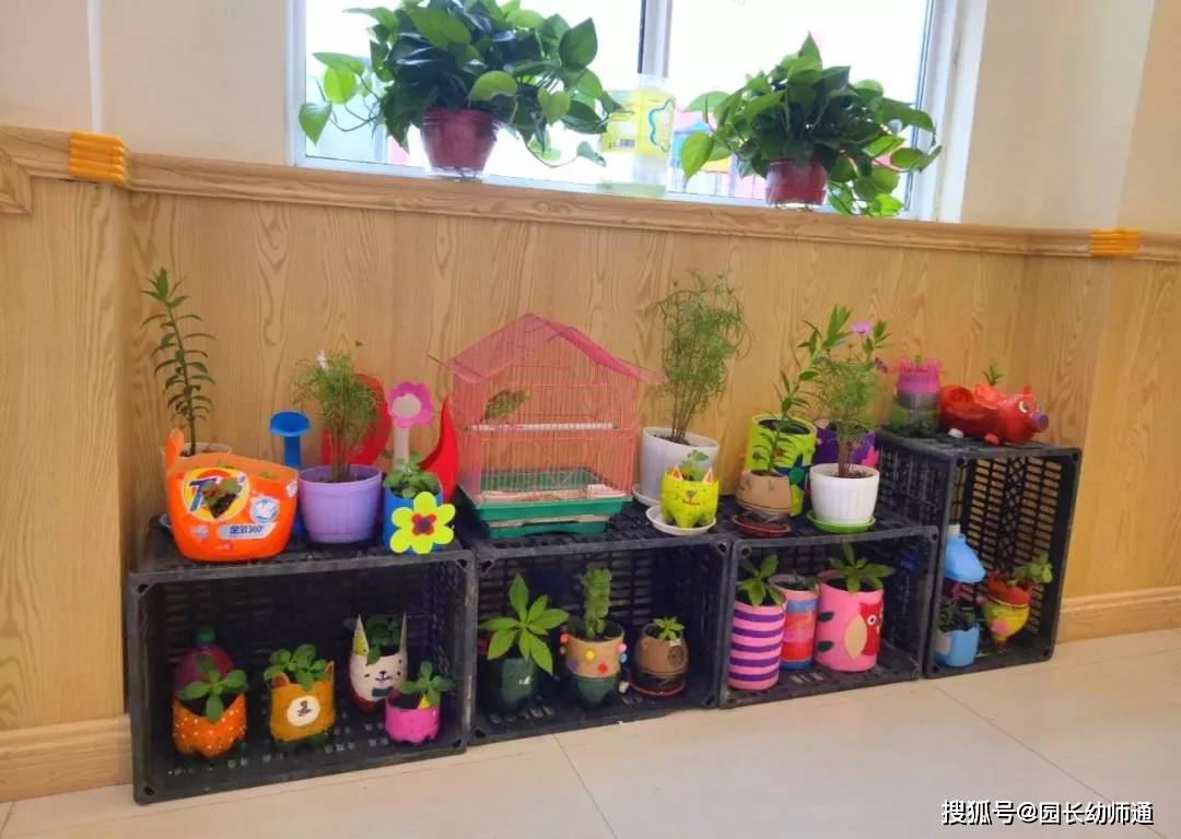 幼兒園“優秀班級”環創佈置，看過的老師都收藏了！