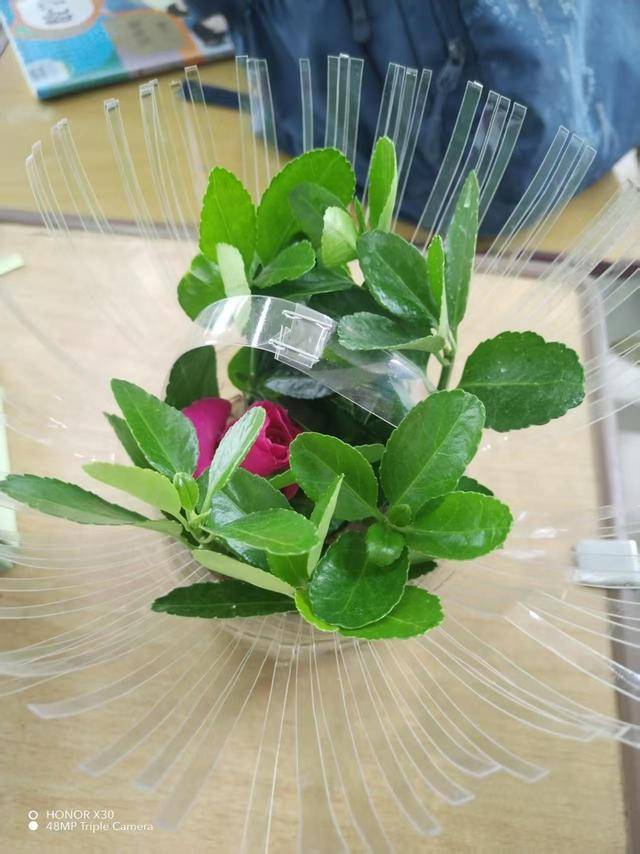 二七區藝術小學開展勞動教育主題周系列活動