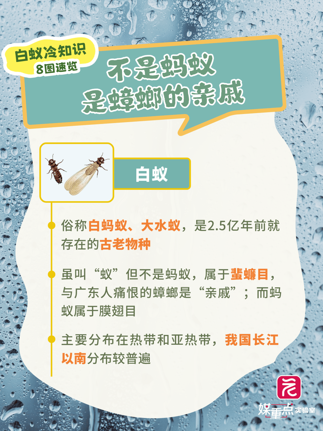 密密麻麻，近期大量出現！廣東人注意：關好門窗