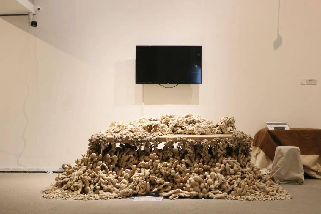 文化、媒介與技術的共生 | “中央美院研究生畢業展”即將閉幕