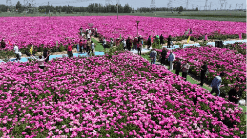 陽信縣洋湖鄉：文化與美景美食串聯起鄉村振興美好願景