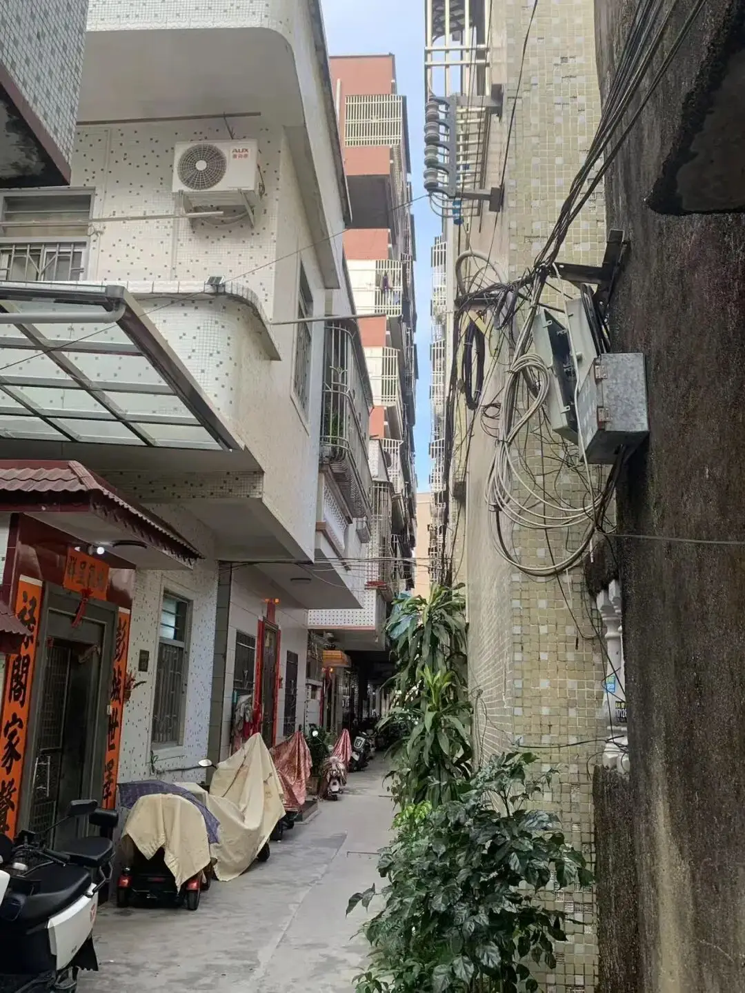 梁某故意傷害拒付醫藥費，李某卿轉移財產逃避執行，房產被查封