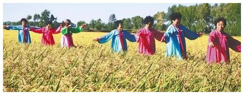 原創朝鮮移民到中國東北地區的原因，朝鮮移民對東部內蒙古的影響