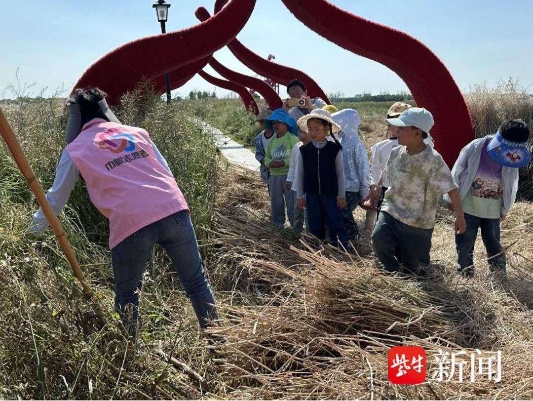 鹽城大縱湖旅遊度假區：走進湖塘花海 體驗農耕文化