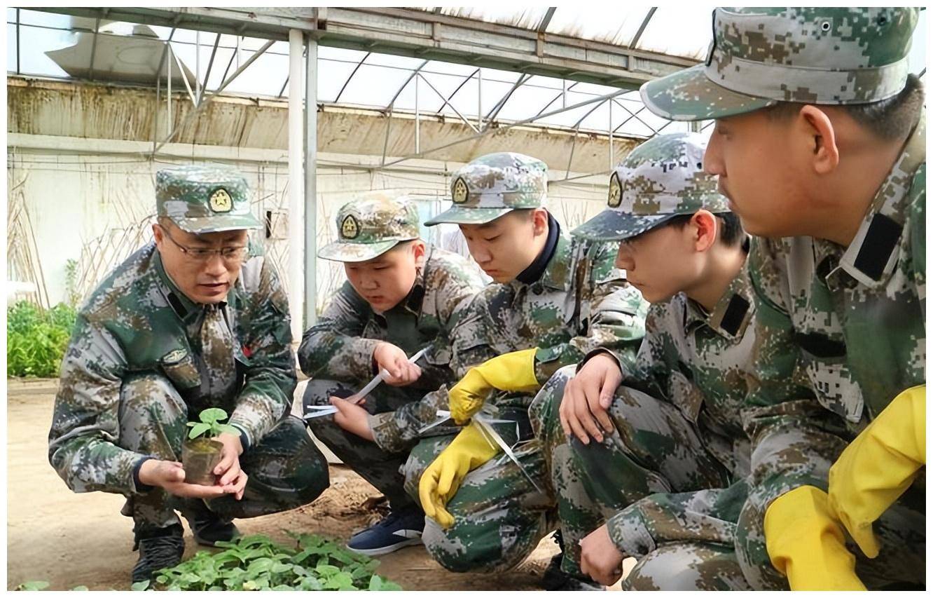 原創朝鮮移民到中國東北地區的原因，朝鮮移民對東部內蒙古的影響