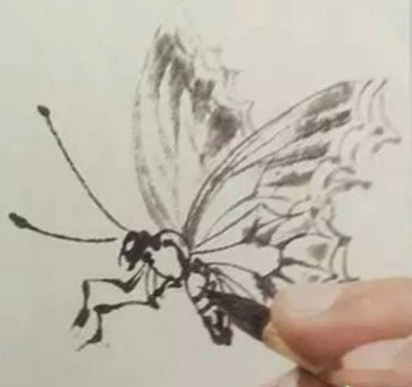 蝴蝶國畫好素材，張張入畫！（附教程）
