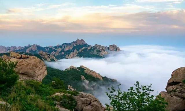 免票！半價！“5·19中國旅遊日”山東景區大放價！收藏→