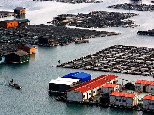 2026霞浦攝影團（國際旅遊攝影網/52旅遊攝影/52旅行攝影）的具體行程安排