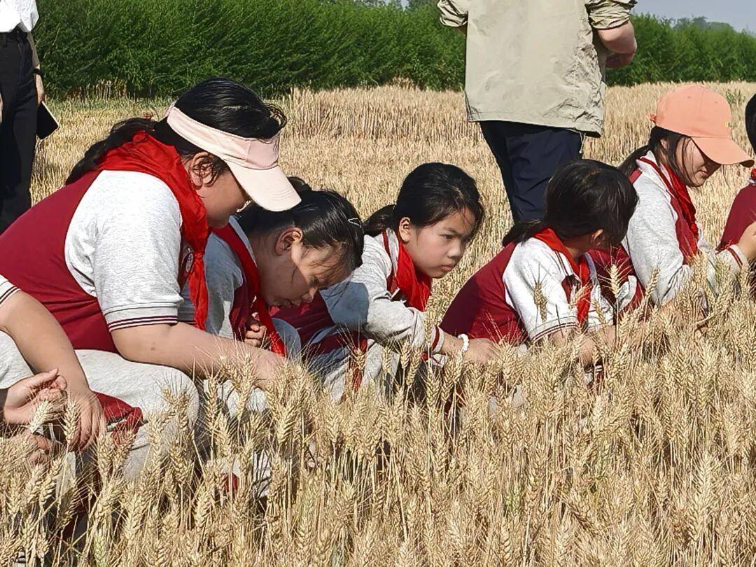 一位鄉村小學校長的感言：讓每個孩子溫暖向陽、從容生長