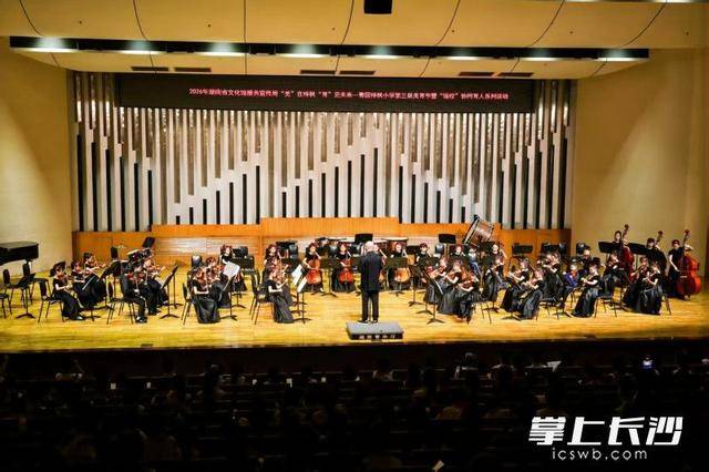 原創館校聯動，長沙這所小學把美育舞臺搬進省文化館