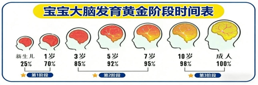 護眼又補腦，施貝安清北小學神營養一步到位