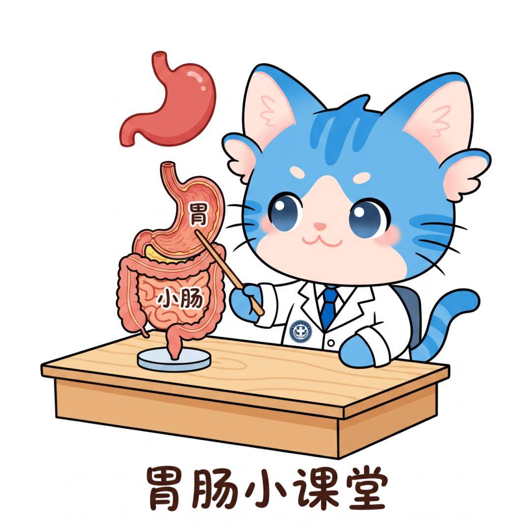 簡醫文創IP表情包來啦，趕快把你喜歡的收藏起來！