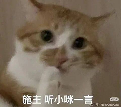 “上大學後和異性的真實聊天記錄...？”啊啊啊這是真上過大學的！
