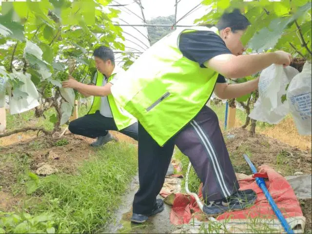 聞汛而動 快速賠付｜中華財險廣東分公司全力迎戰暴雨災害