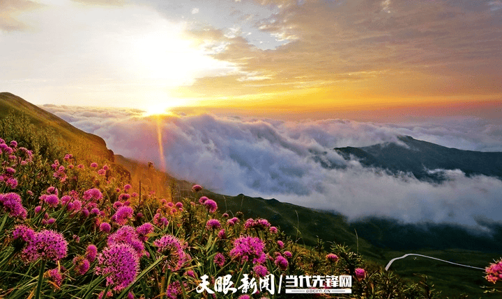 旅遊變旅居｜來貴州，這些地方讓你體驗“山的王國”