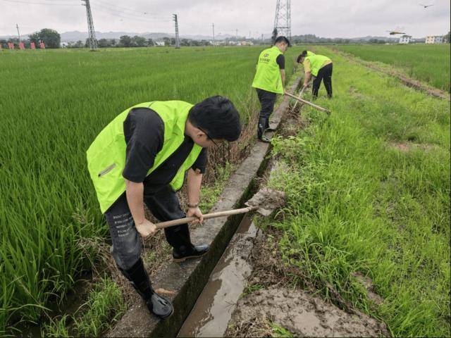 聞汛而動 快速賠付｜中華財險廣東分公司全力迎戰暴雨災害