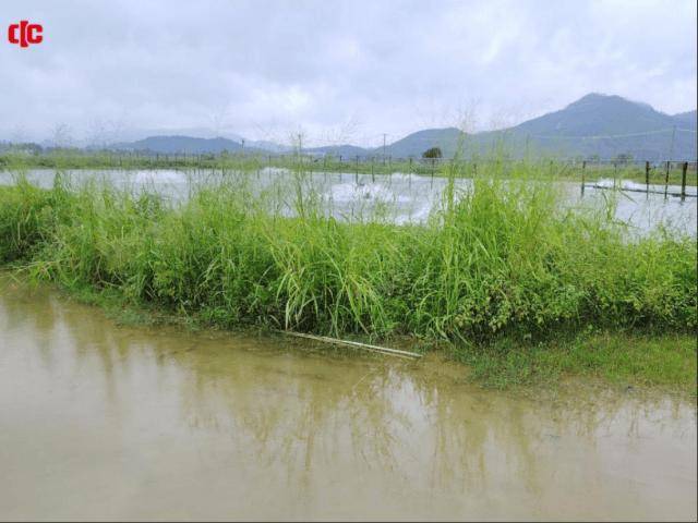 聞汛而動 快速賠付｜中華財險廣東分公司全力迎戰暴雨災害