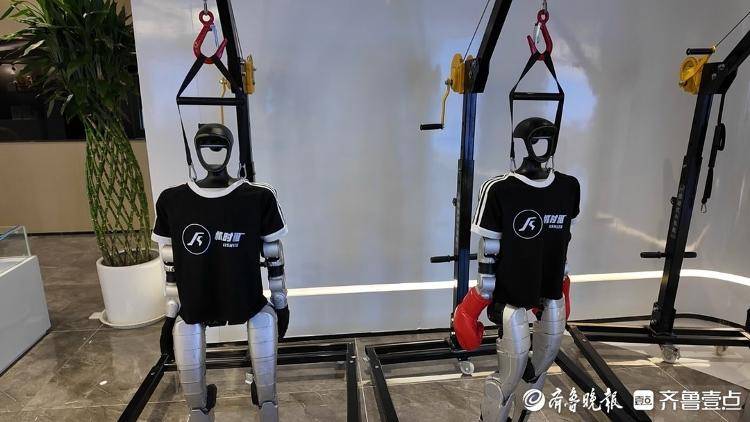 爆火的機器人租賃，正在經歷“成長的煩惱”