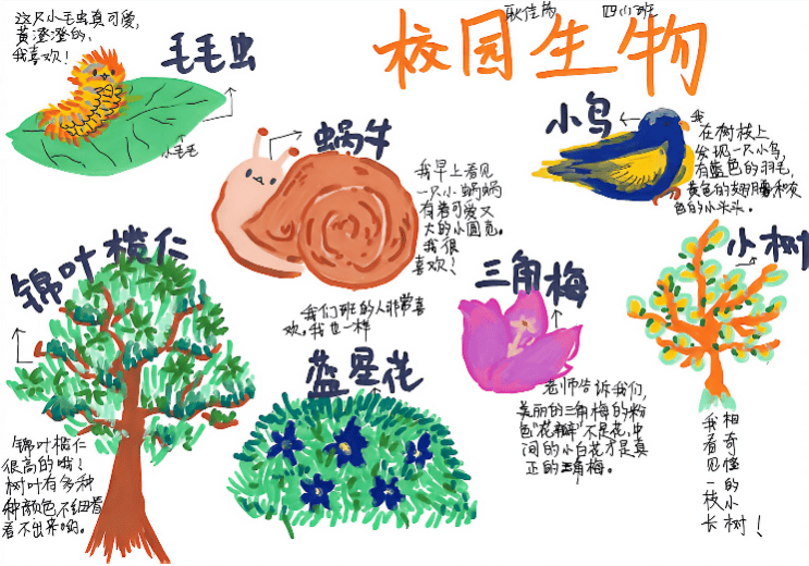 深圳中學大鵬學校開展科學教育探究實踐先行先試活動