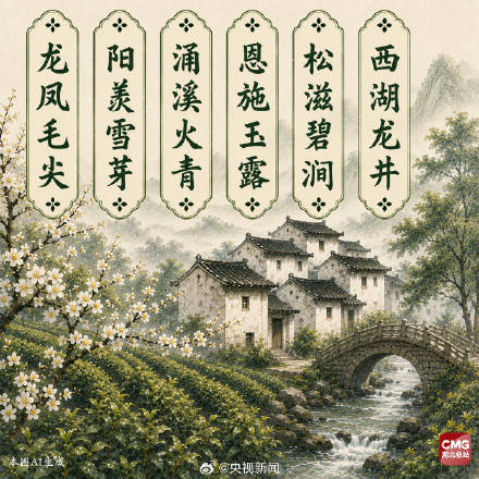 中國人有多會起名這些茶葉告訴你！