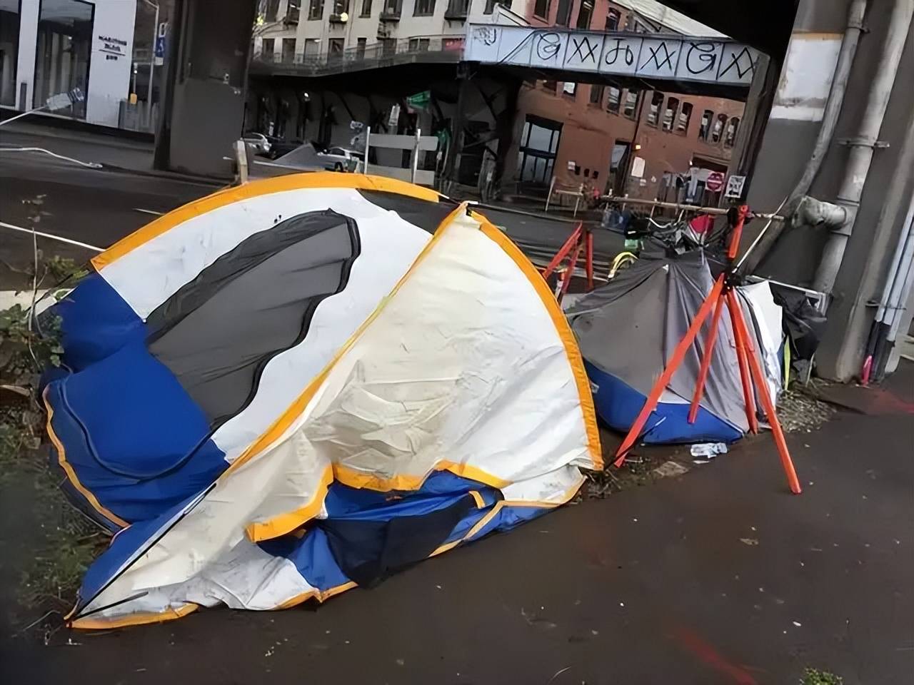 原創西方徹底破防！為什麼中國一崛起，這群移民海外的華裔反而最痛苦
