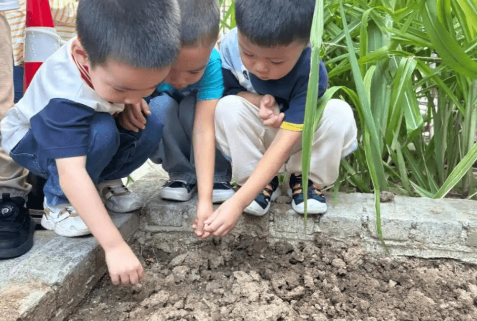原創今天，我沒催兒子寫作業，而是帶他去看了半小時螞蟻搬家