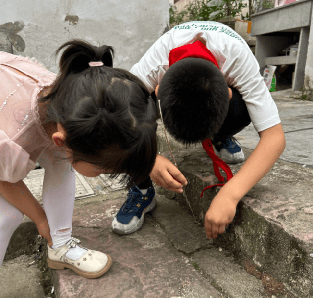 原創今天，我沒催兒子寫作業，而是帶他去看了半小時螞蟻搬家