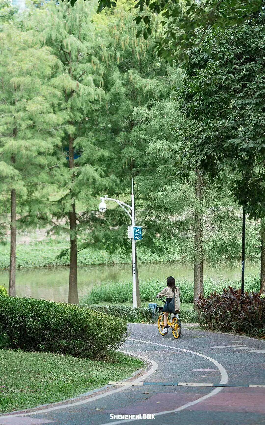 週末微涼，最值得收藏的深圳“軌道+騎行”全指南！