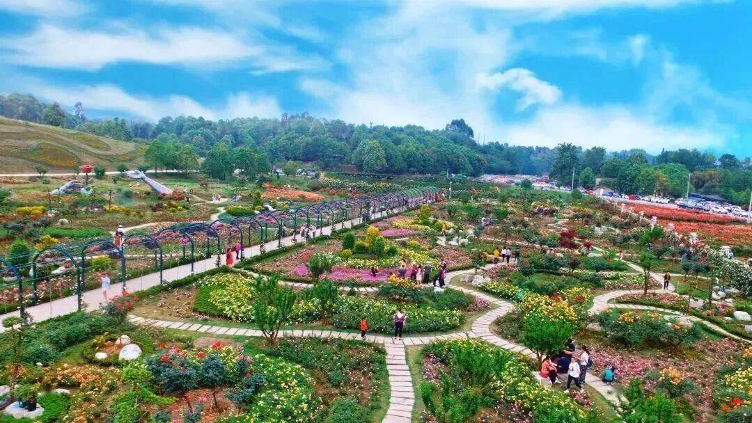 收藏！2026都江堰“好嗨啤”消夏夜啤美食季文旅線路攻略來了