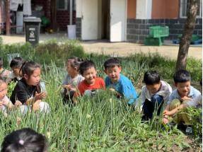 初探小學 禮遇成長——阜陽市潁東區插花鎮閘南幼兒園“初探小學 禮遇成長”幼小銜接活動之走進小學