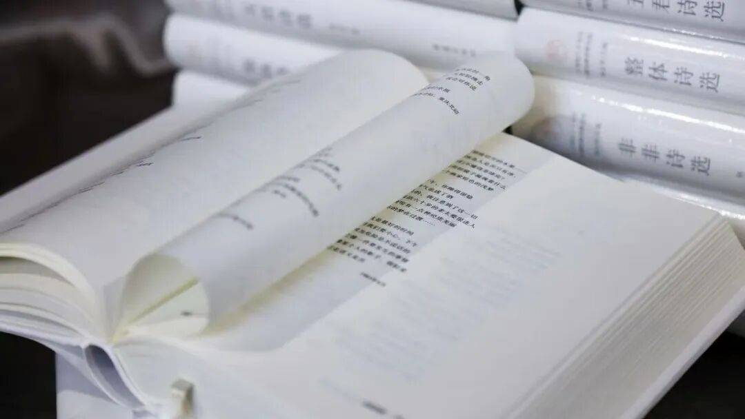 一代人的詩歌「燦爛」