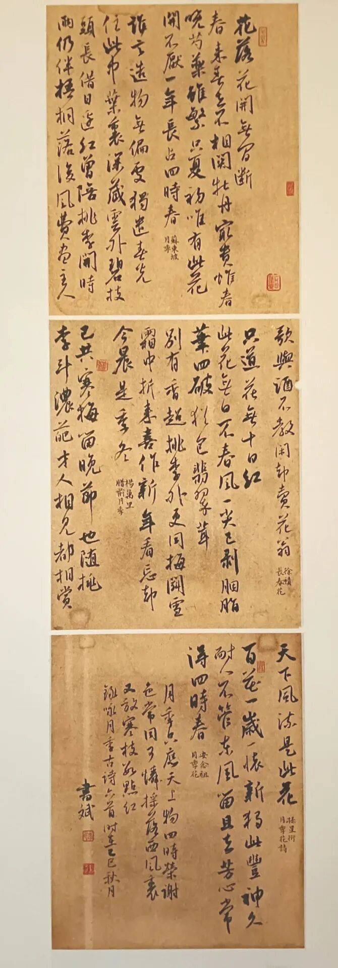南陽市月季主題書法作品網路展（三）