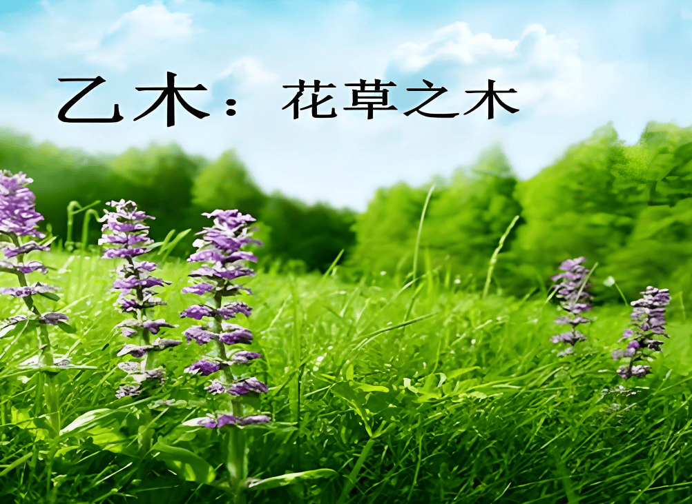原創乙木命起名改名字用什麼字好，乙木命起名取名字應該帶什麼字好