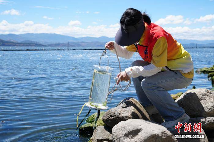 大理大學“保衛”洱海