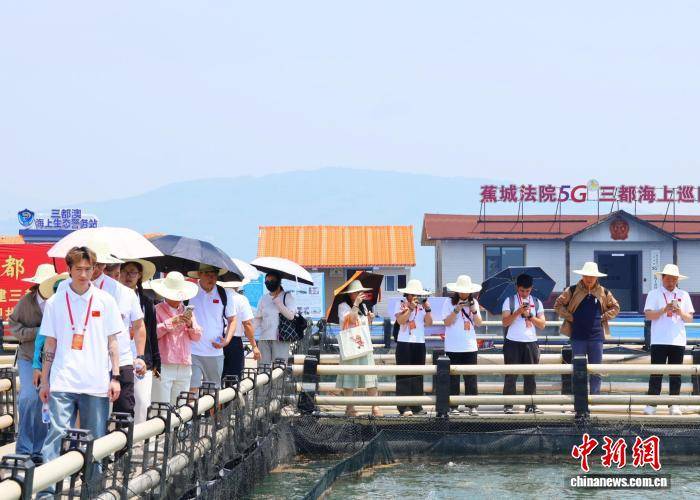 澳門大學生福建寧德參訪：感受產業發展活力 探尋海洋經濟新貌
