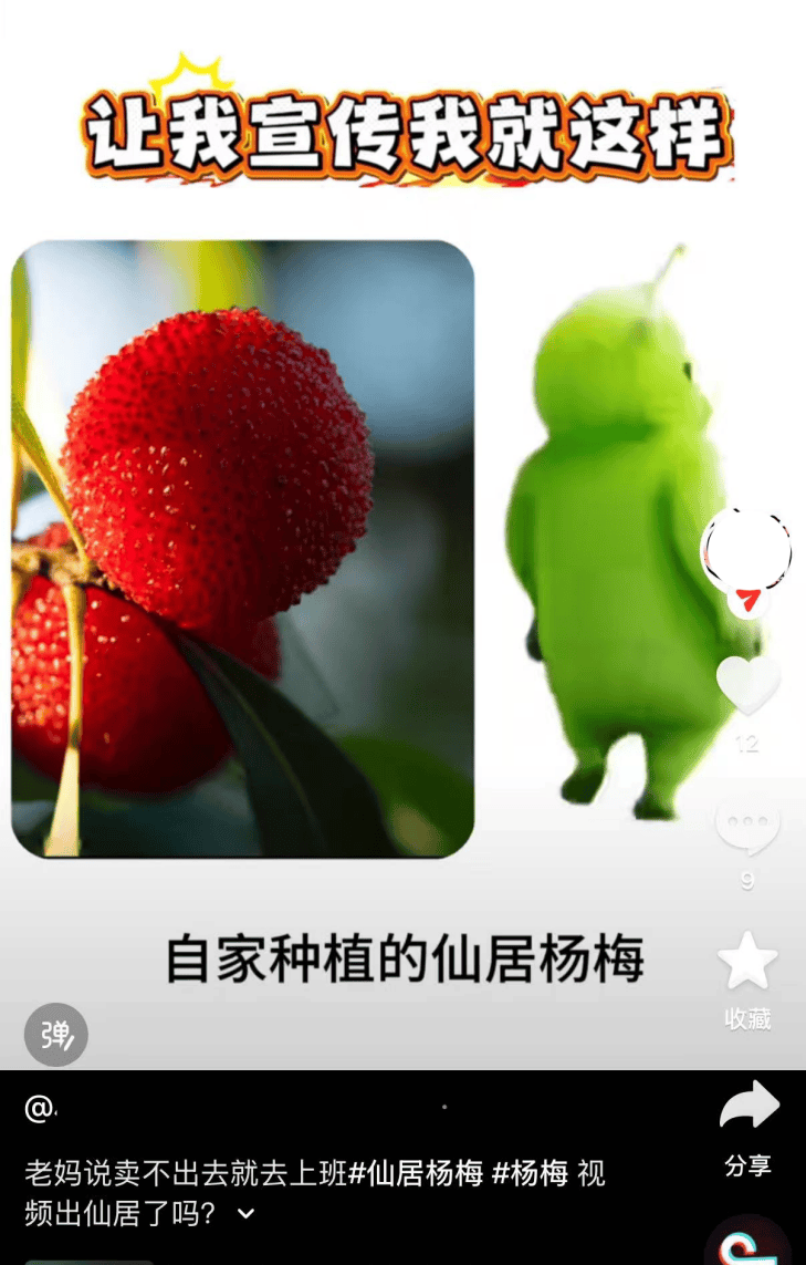 原創物流爭速讓楊梅10分鐘下山 老年工人易摔傷